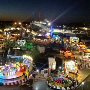 Meet your Posher, Brenda